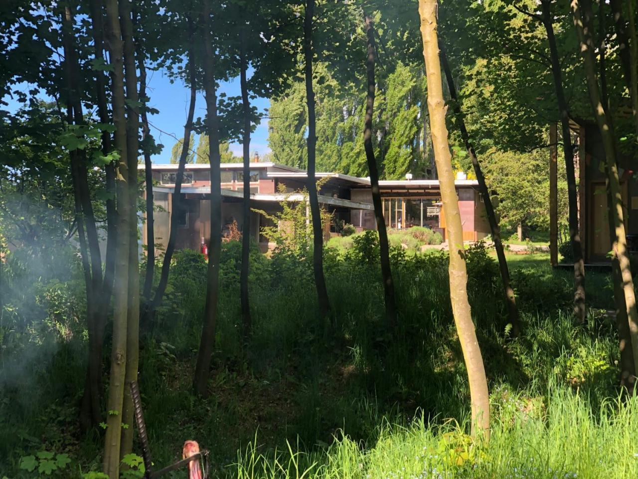 Hotel Patagonia House 科伊艾科 外观 照片
